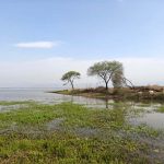 कोपरा जलाशय