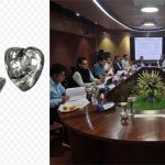 छत्तीसगढ़ में हीरा खनन की तैयारी तेज, NCL बोर्ड का बड़ा फैसला