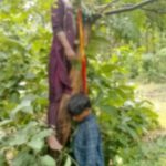 आत्महत्या की